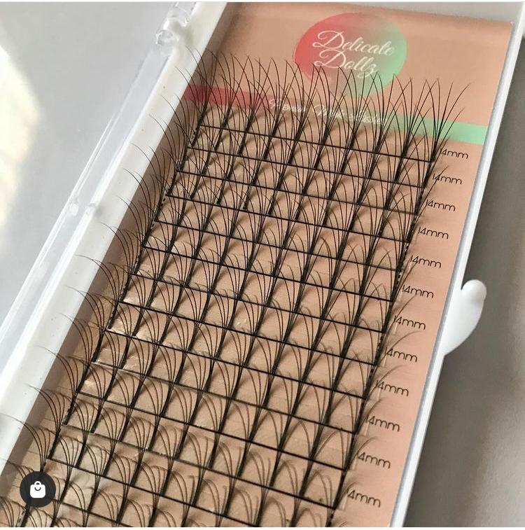 Knotless Pre-Fanned Volume Lashes